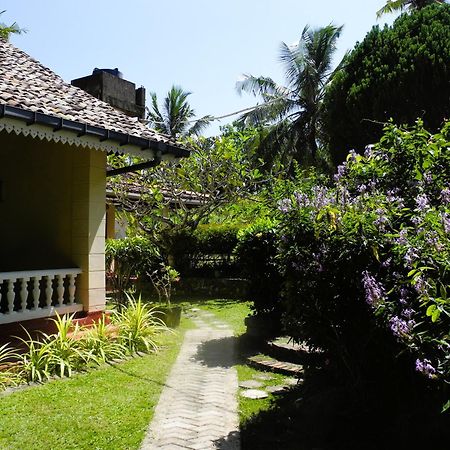 Top Of The Hill Guesthouse Weligama Exterior photo