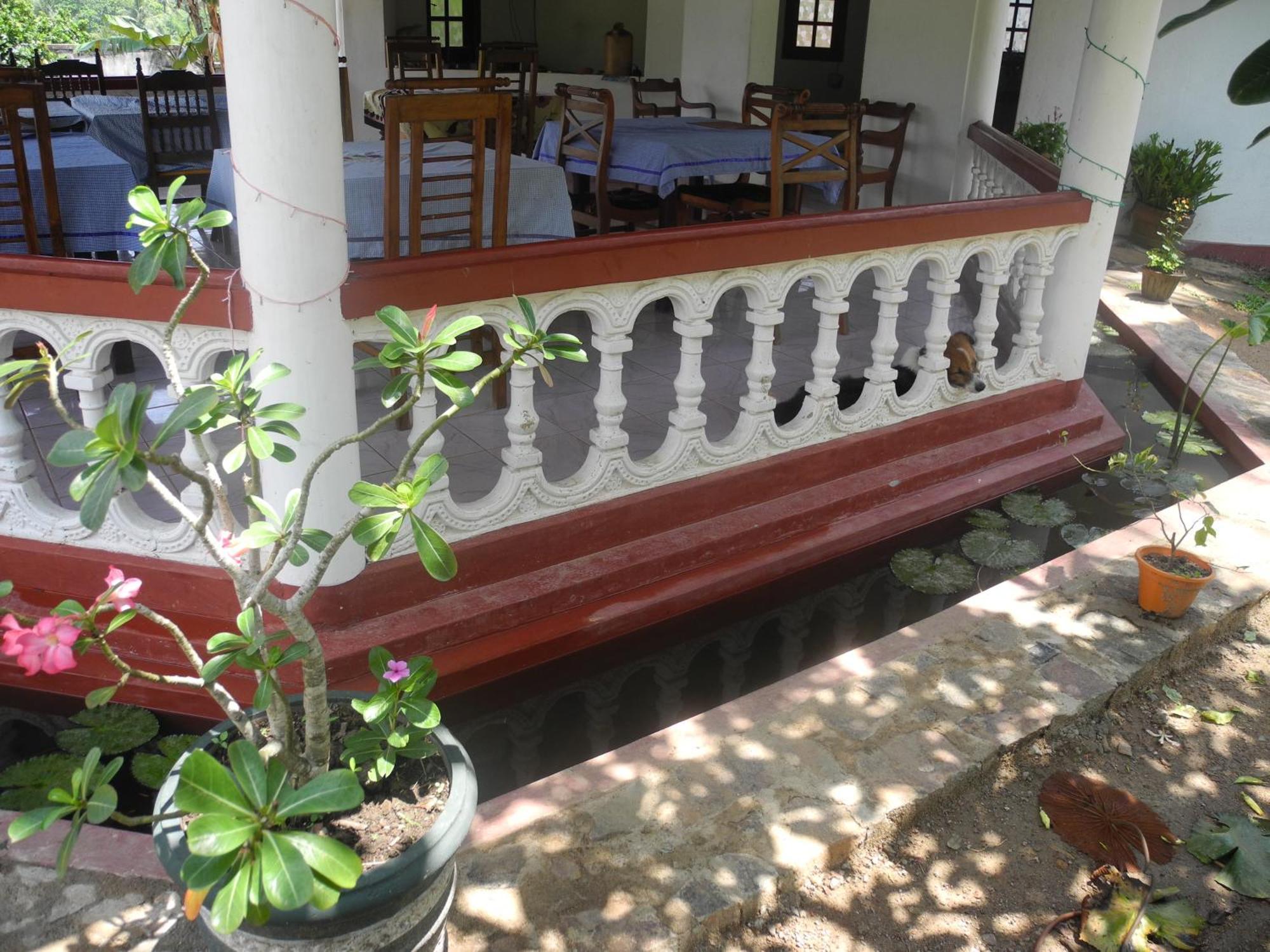 Top Of The Hill Guesthouse Weligama Exterior photo