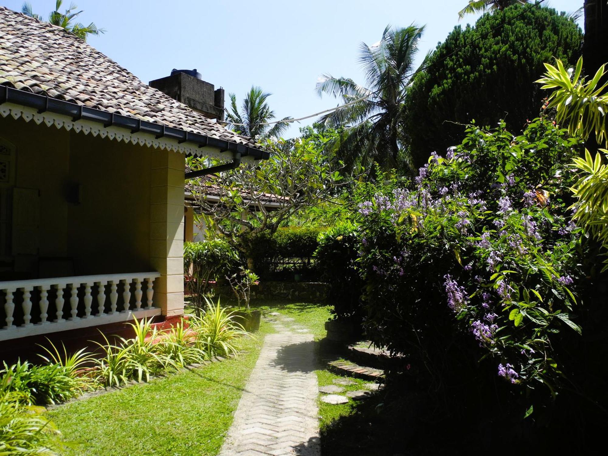 Top Of The Hill Guesthouse Weligama Exterior photo