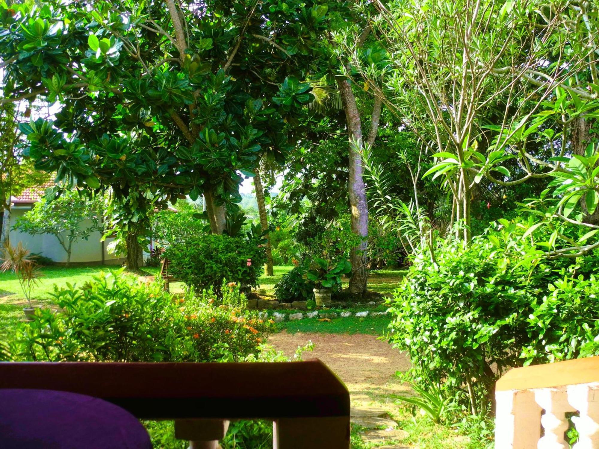 Top Of The Hill Guesthouse Weligama Room photo